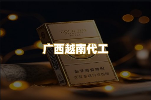 广西越南代工